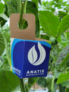 Boîte à Insectes
